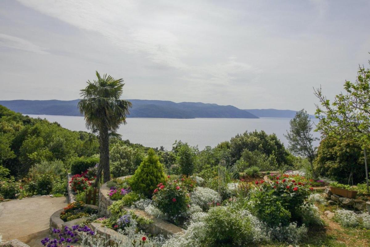 Villa Paradiso In Plomin - Istrien المظهر الخارجي الصورة