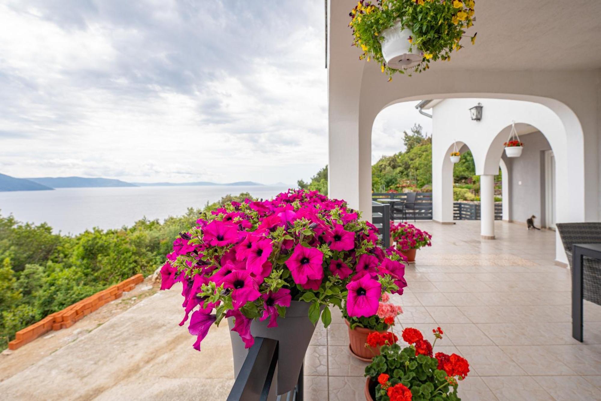 Villa Paradiso In Plomin - Istrien المظهر الخارجي الصورة
