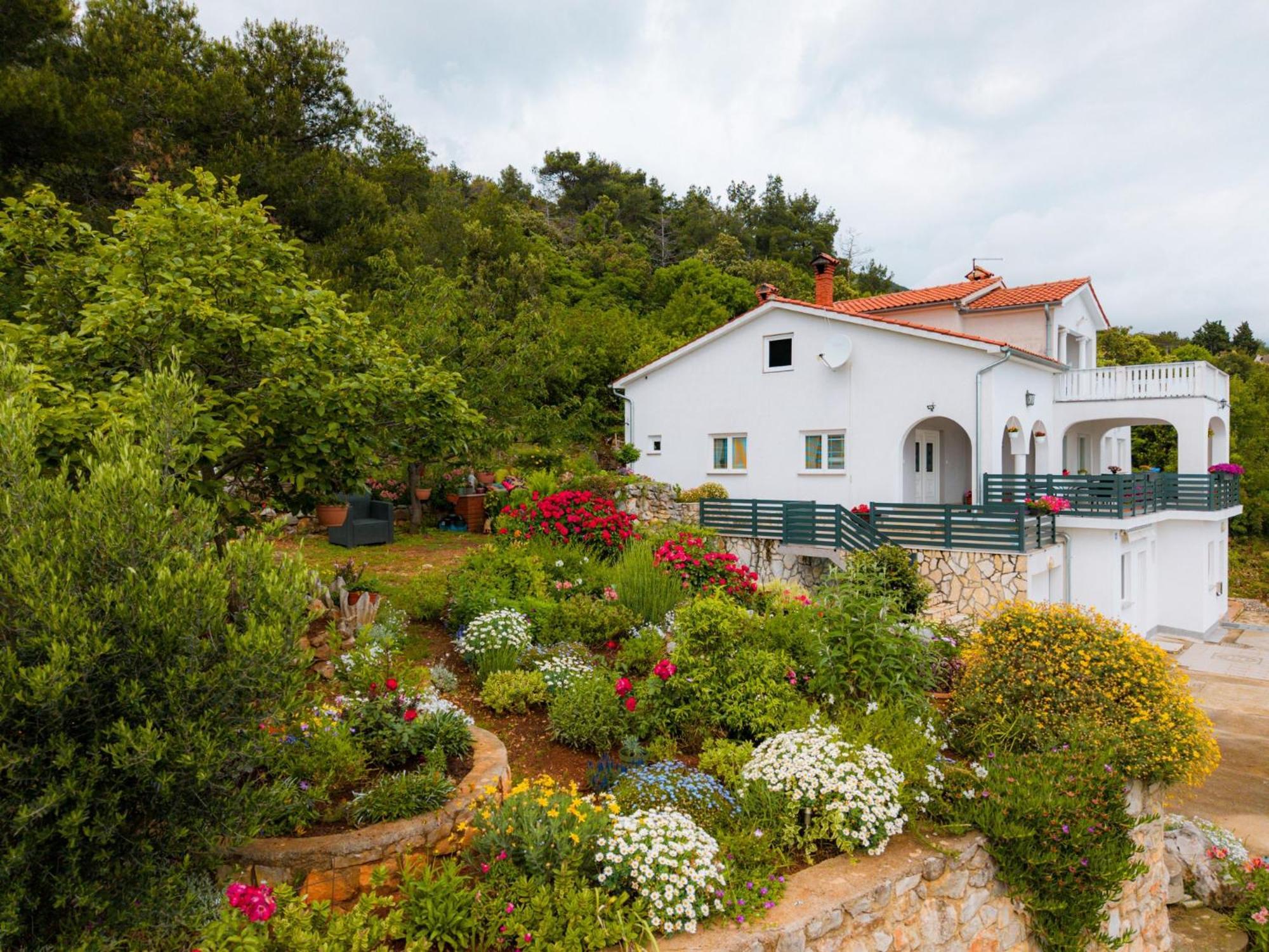 Villa Paradiso In Plomin - Istrien المظهر الخارجي الصورة
