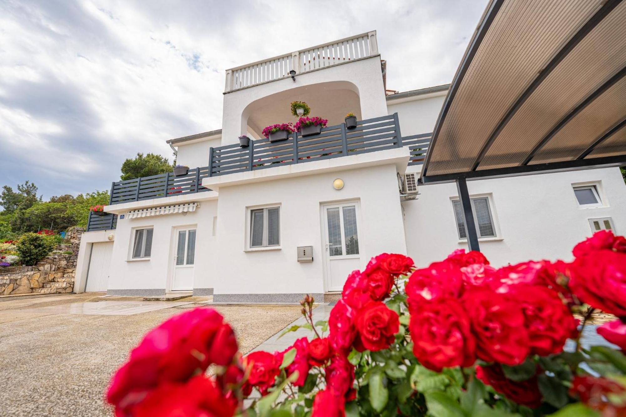 Villa Paradiso In Plomin - Istrien المظهر الخارجي الصورة
